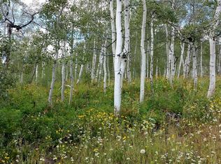 57855 Longfellow Way, Clark, CO 80428