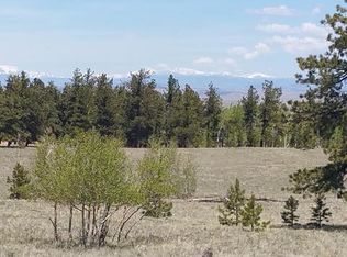 356 Bolster Dr, Hartsel, CO 80449