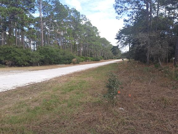 5th image of 211 Ponderosa Pines Ct
