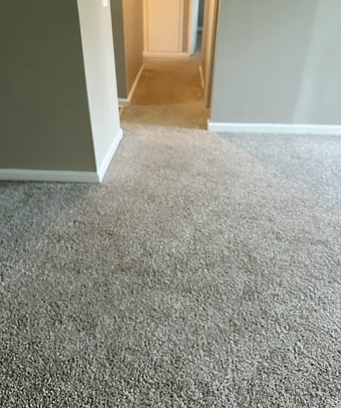 8771 Desoto Dr — Photo 5