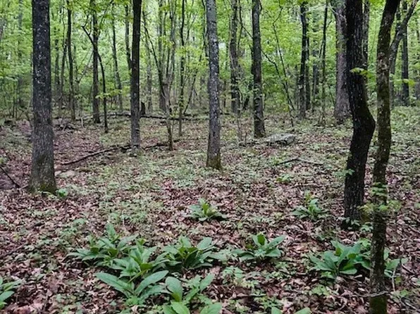 924 Madison 5450 Cres #5450, Elkins, AR 72727