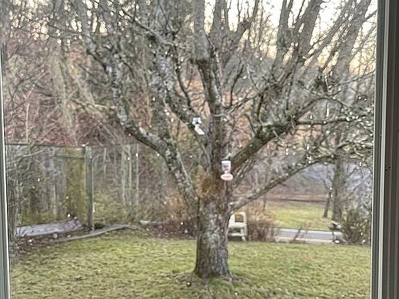 5th image of 1450 Big Windfall Rd