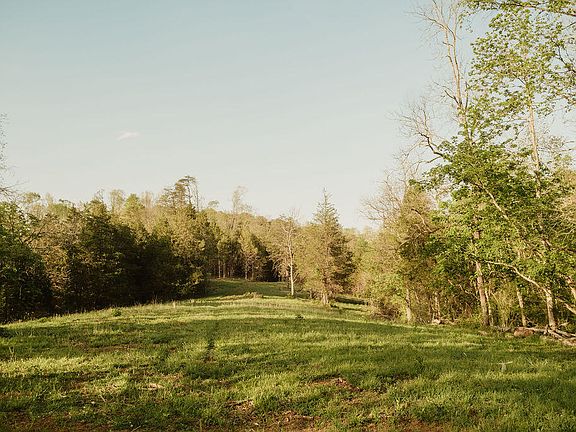 4th image of 2697 Pine Ridge Rd