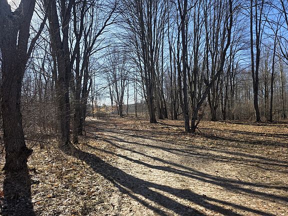 3rd image of 2 Mile Rd