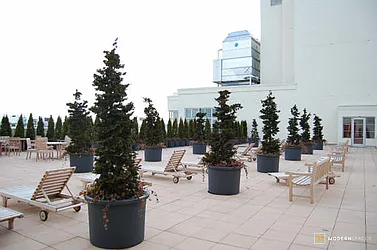 Rented by Modern Spaces