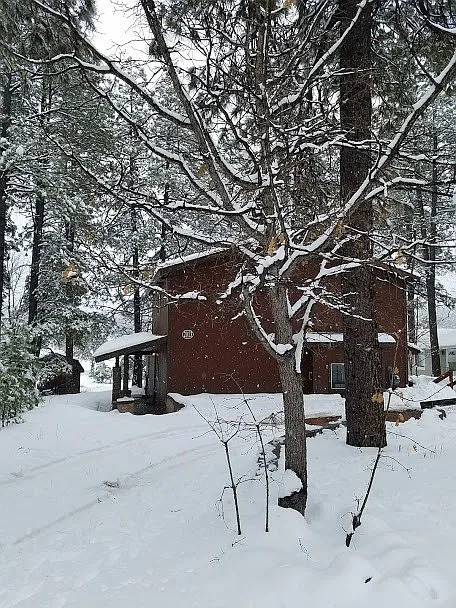 2013 E Sierra Pine Loop — Photo 2