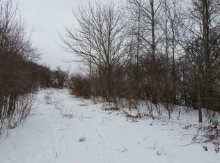 467 Dillenbeck Rd, Little Falls, NY 13365