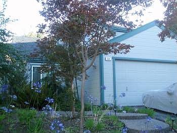 Front of the house