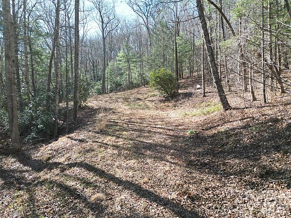 3rd image of 49 Reeds Creek Rd