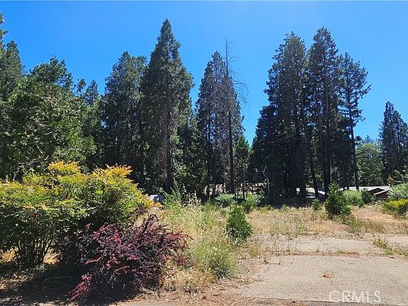 5th image of 14214 Wingate Cir Lot 68