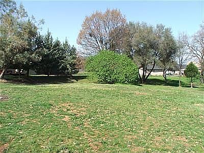 View of back yard