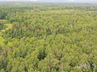 Goldberg Rd, Bergland, MI 49910