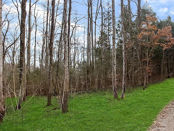 3rd image of 10 Lineport Rd