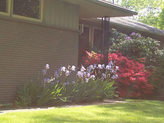4th image of 3647 Mountain View Ave