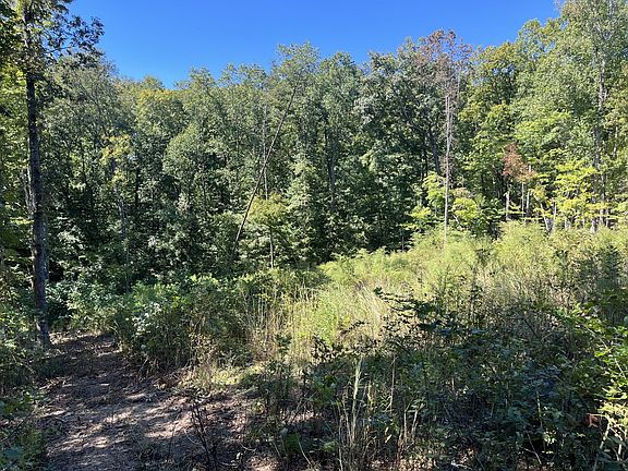 3rd image of 223 Clear Springs Rd