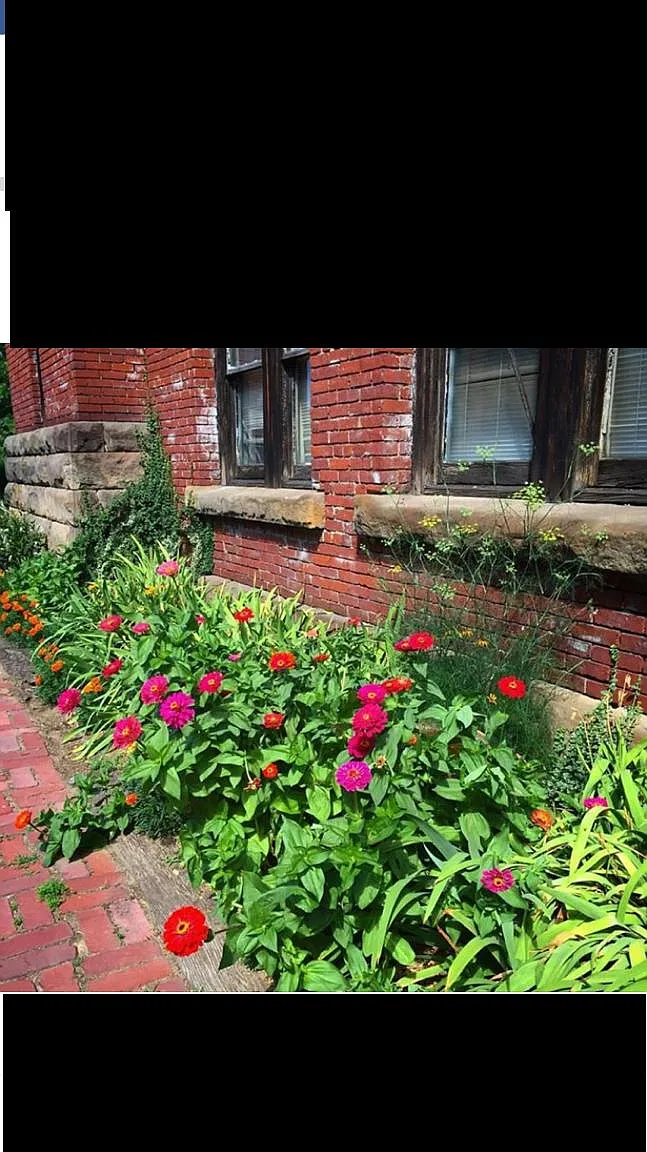 2 bed, 1350 sqft, $1,750 — Photo 4
