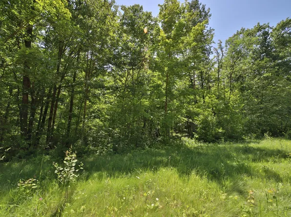 TRACT Olander Rd #C, Crosby, MN 56441