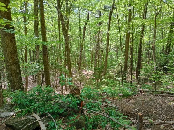 Blueberry Hill Road, Grafton, NH 03240