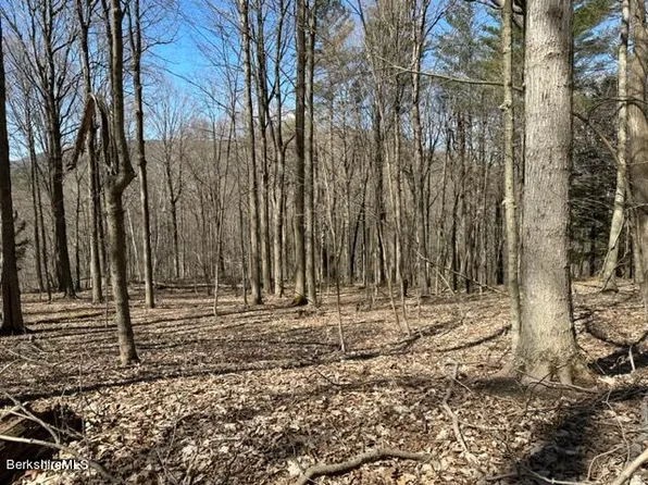 0 Maple Hill Rd, West Stockbridge, MA 01266