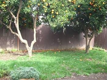 4th image of 324 Deodara St