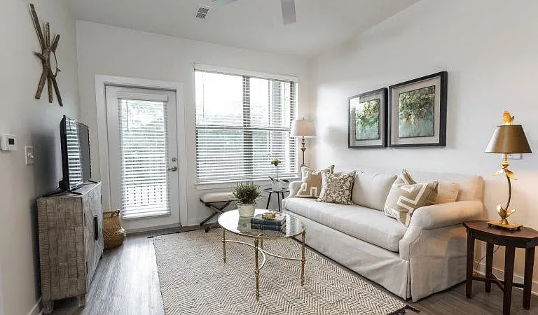 Furnished model living room