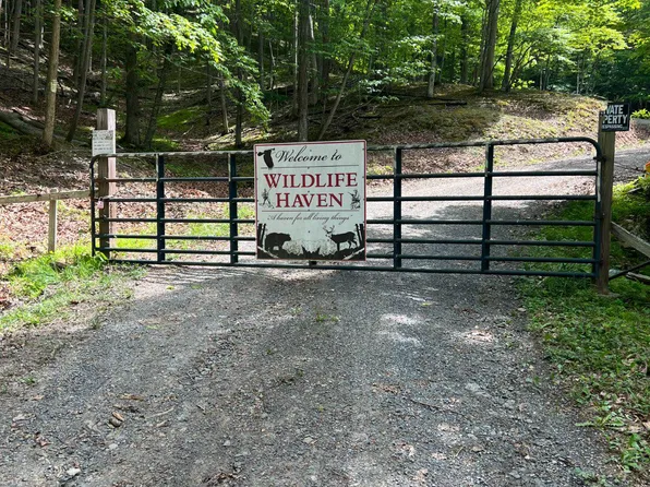Edgar Ln, Upper Tract, WV 26866