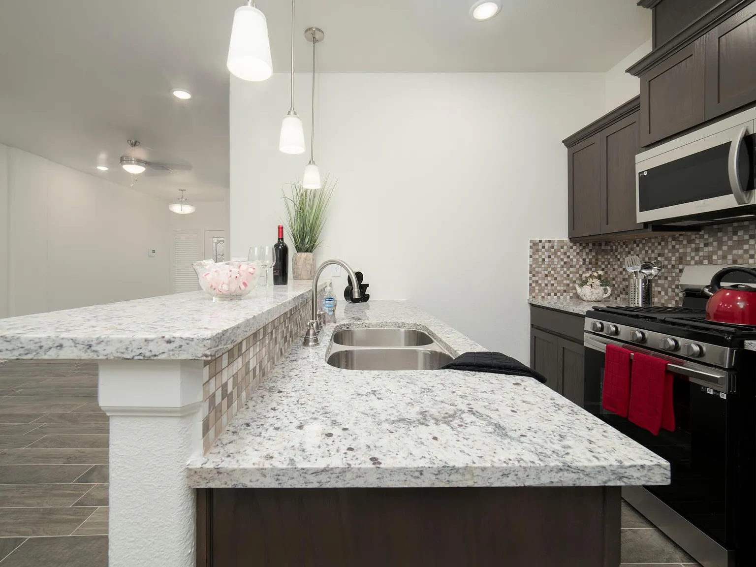 1060 Hoppas Ct — Photo 3