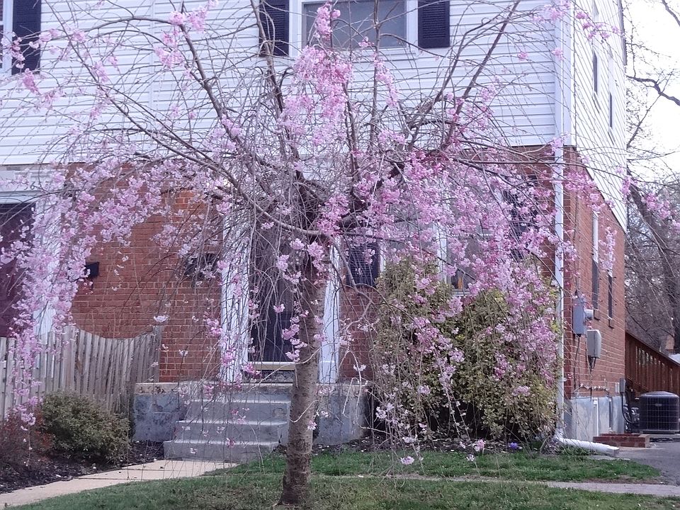 1st image of 5701 Fenwick Dr