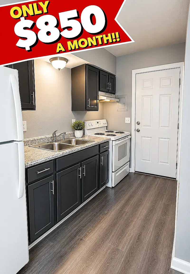 1 bed, 1.5 bath, 740 sqft, $850 — Photo 1