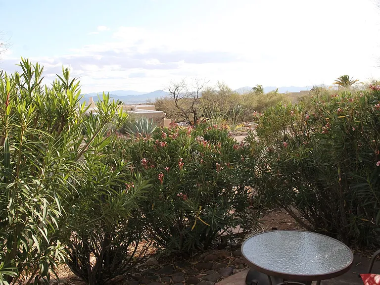7601 N Calle Sin Envidia #37 — Photo 41