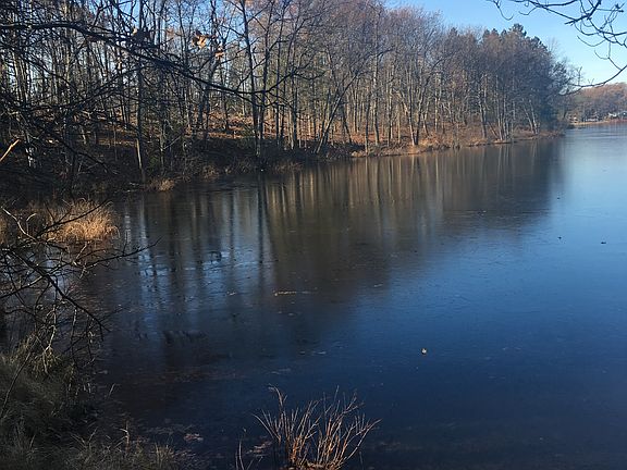 12/1/17
Leaves are gone