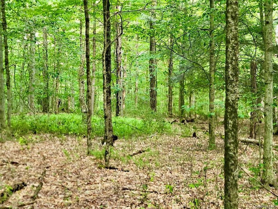 State Route 52, White Sulphur Springs, NY 12787 MLS H6251788 Zillow