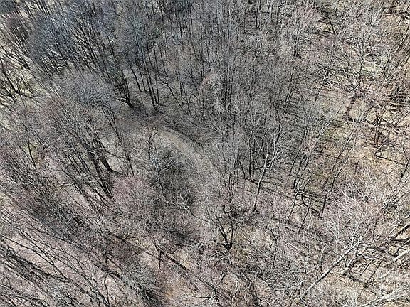 5th image of 0 Neds Branch Rd