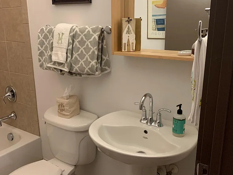 Guest bathroom