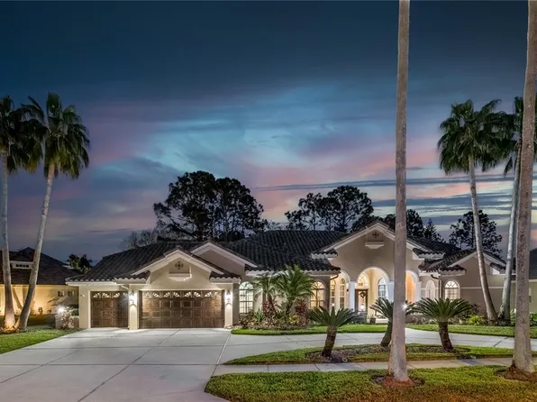 12028 Brewster Dr, Tampa, FL 33626