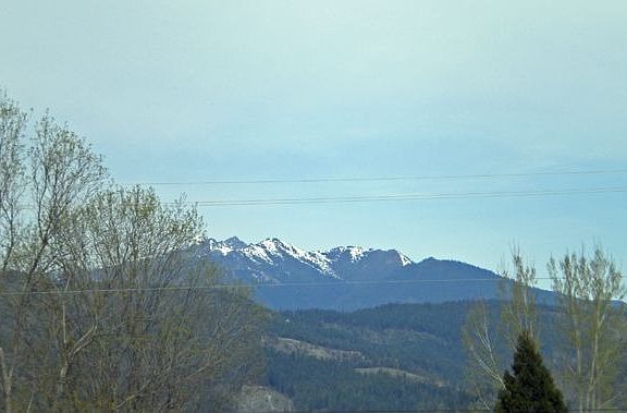 View from yard