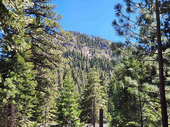 2nd image of 1965 Alpine Meadows Rd