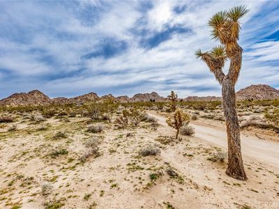 130 Hollinger Rd Lot 1, Joshua Tree, CA, 92252