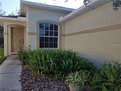 2905 Banyan Hill Ln, Land O Lakes, FL, 34639