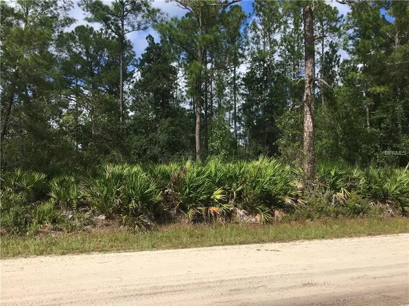 Buck Run Dr, Paisley, FL 32767