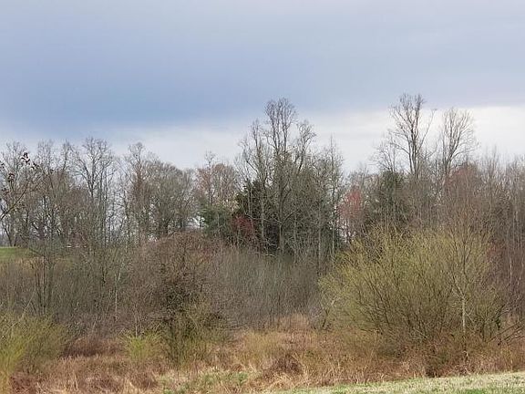5th image of Stormin Norman Dr