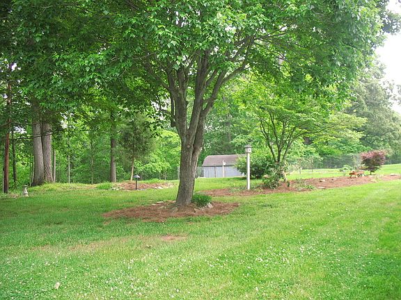 Tranquil backyard setting