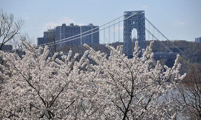 Rented by Bold New York | media 20