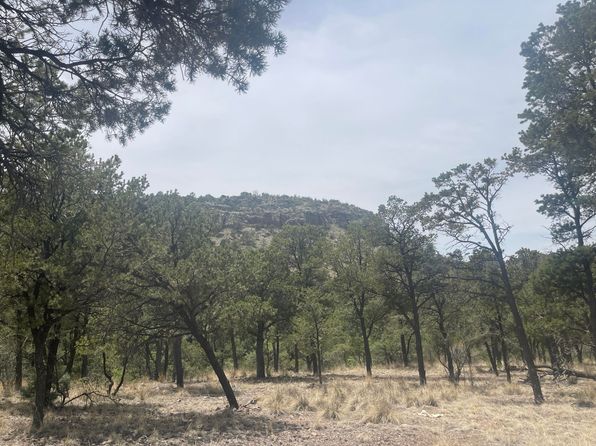 30 Hop Canyon Rd, Magdalena, NM 87825
