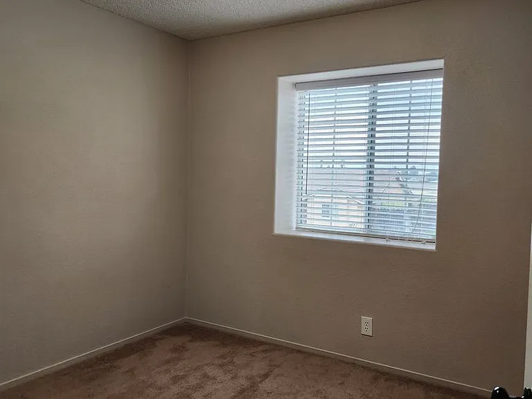 3301 Chuckwagon St — Photo 14
