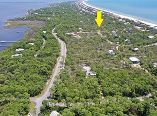 1320 Azalea Dr, Saint George Island, FL 32328