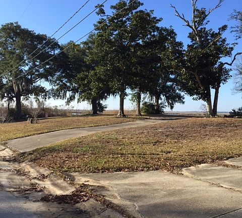 Beautiful 1.5 Acre Lot
