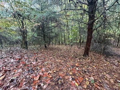 35 Poplar Ave Lot 35, Sweetwater, TN, 37874