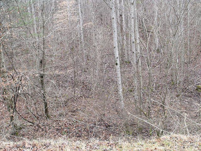 2nd image of Mount Pleasant Rd
