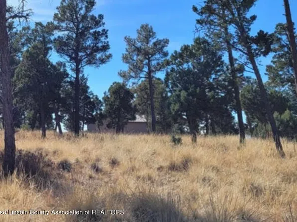 106 Edgeview Dr, Alto, NM 88312